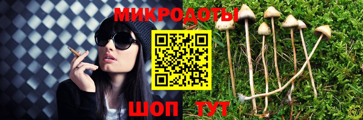 Новоалександровск  Псилоцибиновые грибы мухоморы  Вход с VPN 